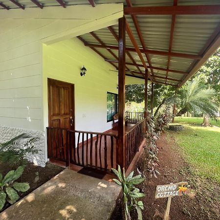 Blue Banyan Inn Quepos Exterior photo