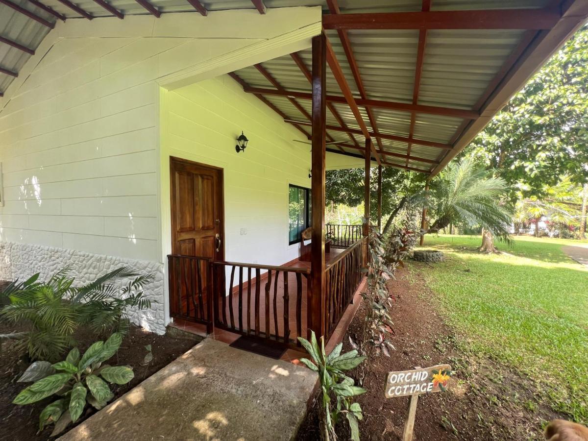 Blue Banyan Inn Quepos Exterior photo